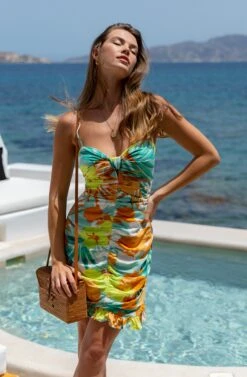 Beachside Tropical Ruched Mini Dress 13 Beachside Tropical Ruched Mini Dress -Astr The Label Shop A58A9336 2