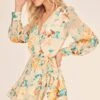 Aja Floral Mini Dress 1 Aja Floral Mini Dress -Astr The Label Shop ACDR100455 CREAM JADE FLORAL 2A