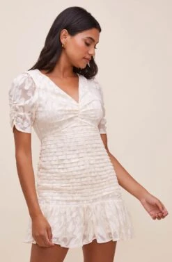 Erina Ruched Mini Dress -Astr The Label Shop ACDR100788 CREAM 3