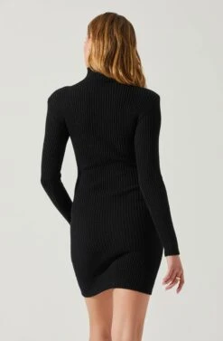 Gwendolyn Turtleneck Sweater Mini Dress -Astr The Label Shop ACDR100970SH BLACK 5