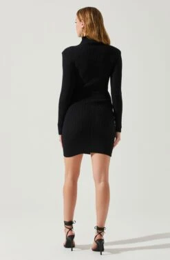 Gwendolyn Turtleneck Sweater Mini Dress -Astr The Label Shop ACDR100970SH BLACK 6