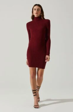 Gwendolyn Turtleneck Sweater Mini Dress -Astr The Label Shop ACDR100970SH WINE 1