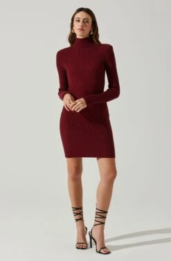 Gwendolyn Turtleneck Sweater Mini Dress -Astr The Label Shop ACDR100970SH WINE 2
