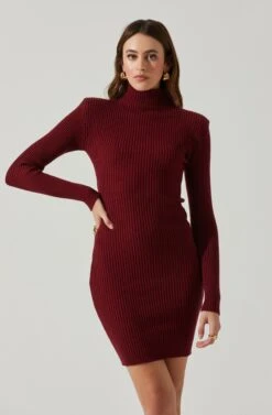Gwendolyn Turtleneck Sweater Mini Dress -Astr The Label Shop ACDR100970SH WINE 3
