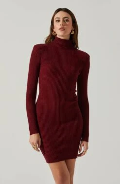 Gwendolyn Turtleneck Sweater Mini Dress -Astr The Label Shop ACDR100970SH WINE 4