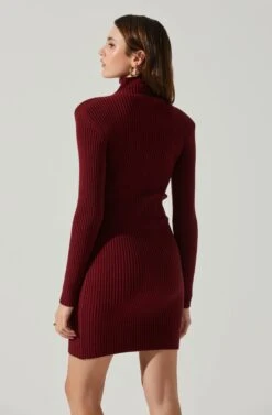 Gwendolyn Turtleneck Sweater Mini Dress -Astr The Label Shop ACDR100970SH WINE 5