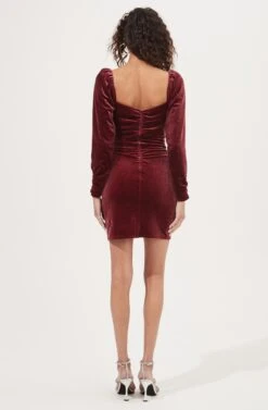 Ellsmere Velvet Rouched Long Sleeve Mini Dress 19 Ellsmere Velvet Rouched Long Sleeve Mini Dress -Astr The Label Shop ACDR101030 CRANBERRY 5