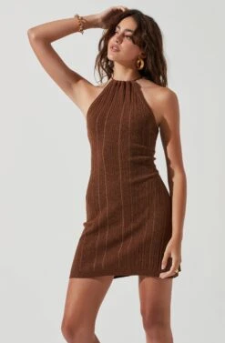 Darian Ribbed Knit Mini Dress -Astr The Label Shop ACDR101197 BROWN 0126