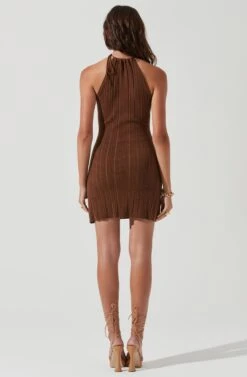 Darian Ribbed Knit Mini Dress -Astr The Label Shop ACDR101197 BROWN 0131