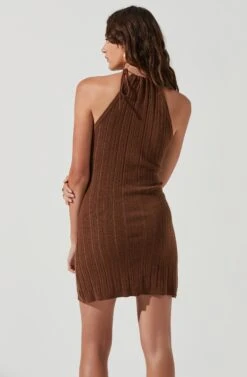 Darian Ribbed Knit Mini Dress -Astr The Label Shop ACDR101197 BROWN 0139