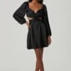 Anamaria Cutout Long Sleeve Mini Dress