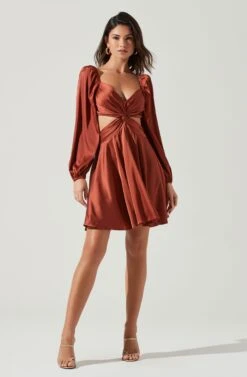 Anamaria Cutout Long Sleeve Mini Dress -Astr The Label Shop ACDR101291 RUST 1999 2