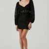 Chrisley Lace Corset Long Sleeve Mini Dress -Astr The Label Shop ACDR101445 BLACK 1