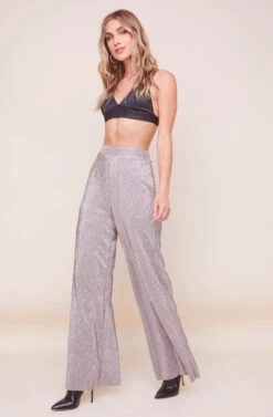 Aileen Wide Leg Plisse Pant -Astr The Label Shop ACP7192 PEWTER 7