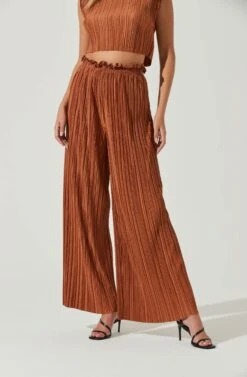 Cruise Pleated Wide Leg Pants -Astr The Label Shop ACP7230 RUST 1