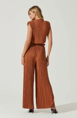Cruise Pleated Wide Leg Pants -Astr The Label Shop ACP7230 RUST 3
