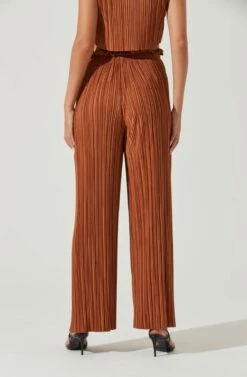 Cruise Pleated Wide Leg Pants -Astr The Label Shop ACP7230 RUST 4