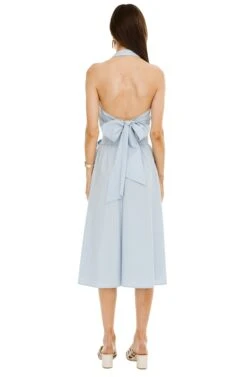 Shayla Midi Skirt -Astr The Label Shop ACS8079 FRENCH BLUE 03