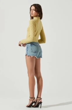 Lanare Checkered Mock Neck Long Sleeve Crop Top -Astr The Label Shop ACT17027 PISTACHIO 3