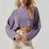 Ace Cropped Mock Neck Sweater