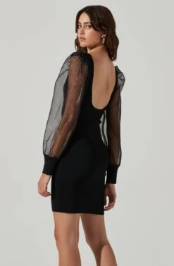 Organza Long Sleeve Mini Dress 12 Organza Long Sleeve Mini Dress -Astr The Label Shop ADR101464 BLACK 5