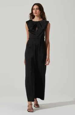Inverted Pleat Neck Jumpsuit -Astr The Label Shop AP7241 BLACK 2