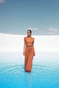 Cruise Pleated Wide Leg Pants -Astr The Label Shop ASTR SPR22 PT1 1561