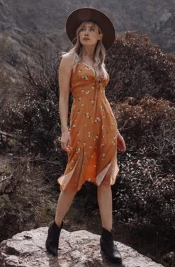 Collin Floral Midi Dress -Astr The Label Shop High Res55B